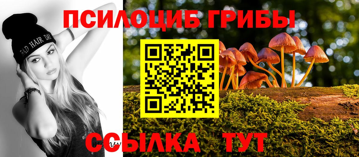 Галлюциногенные грибы Psilocybe Сунжа