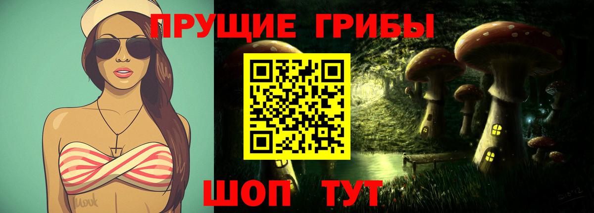 Сунжа  Галлюциногенные грибы мухоморы  Псилоцибиновые грибы Psilocybine cubensis  Вход с VPN 