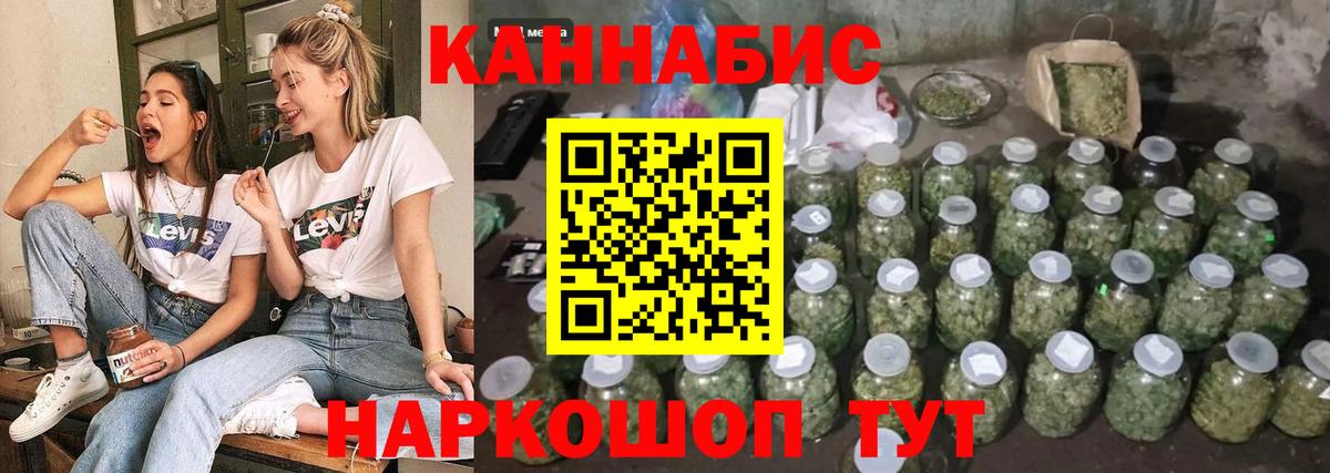 Сунжа  Шишки марихуана семена  Бошки Шишки Bruce Banner  Канабис гибрид  Марихуана планчик  Вход с VPN 